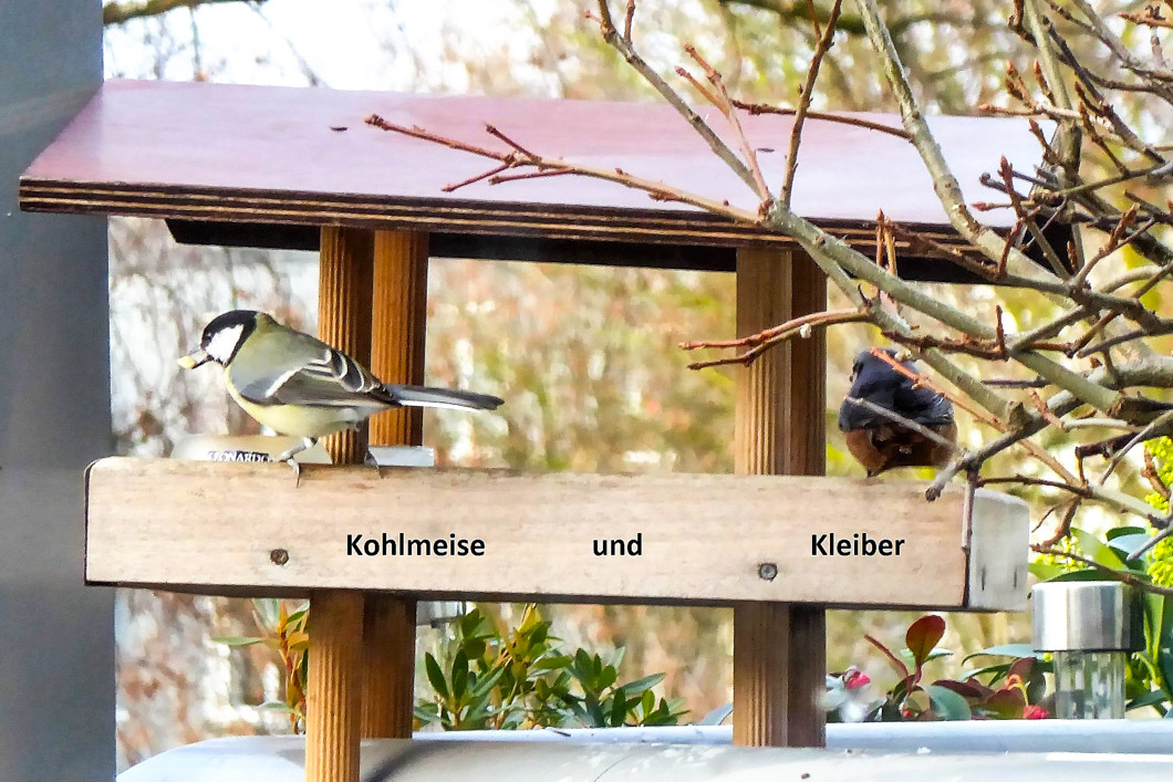 kein Foto vorhanden