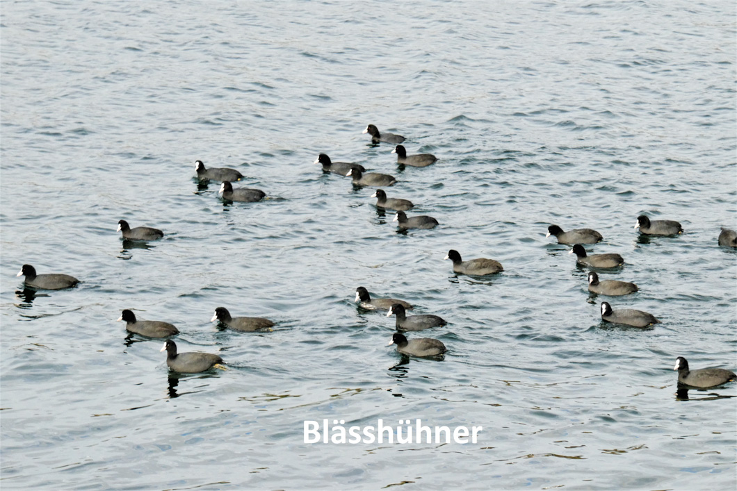 kein Foto vorhanden